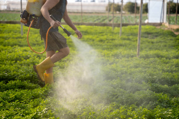 Best Affordable Pest Control Services  in La Croft, OH