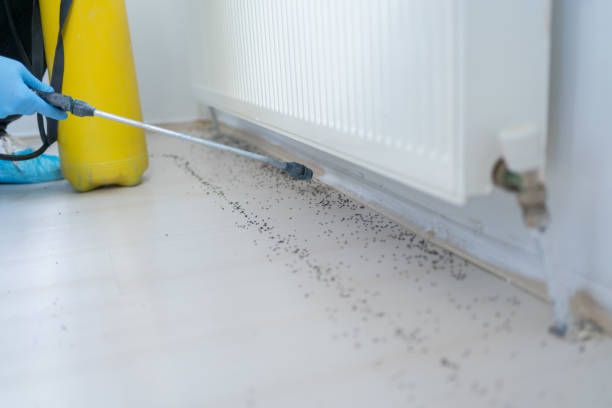 Reliable La Croft, OH Pest Control Solutions