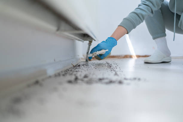 Best Pest Removal Services  in La Croft, OH